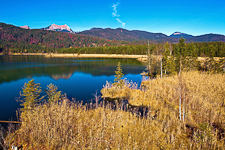 Barmsee Schilf Kruen Krottenkopf